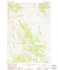 Download a high-resolution, GPS-compatible USGS topo map for Tepee Mountain, MT (1987 edition)
