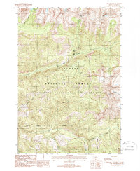 Download a high-resolution, GPS-compatible USGS topo map for The Pyramid, MT (1988 edition)