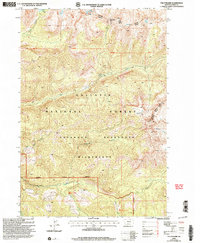 Download a high-resolution, GPS-compatible USGS topo map for The Pyramid, MT (2005 edition)