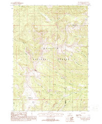 Download a high-resolution, GPS-compatible USGS topo map for The Sentinel, MT (1988 edition)