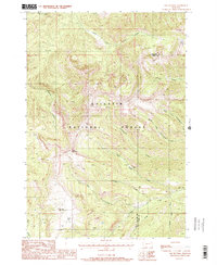 Download a high-resolution, GPS-compatible USGS topo map for The Sentinel, MT (1988 edition)