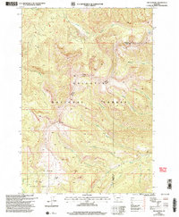 Download a high-resolution, GPS-compatible USGS topo map for The Sentinel, MT (2005 edition)