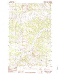 Download a high-resolution, GPS-compatible USGS topo map for Thompson Coulee, MT (1985 edition)