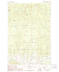 Download a high-resolution, GPS-compatible USGS topo map for Thunderbolt Creek, MT (1986 edition)
