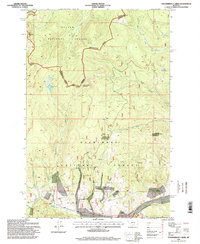 Download a high-resolution, GPS-compatible USGS topo map for Thunderbolt Creek, MT (1998 edition)