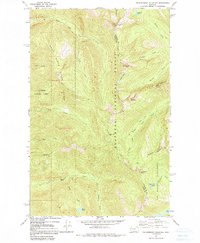 Download a high-resolution, GPS-compatible USGS topo map for Thunderbolt Mountain, MT (1991 edition)