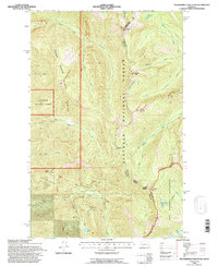 Download a high-resolution, GPS-compatible USGS topo map for Thunderbolt Mountain, MT (1996 edition)