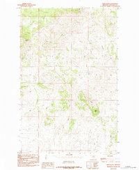 Download a high-resolution, GPS-compatible USGS topo map for Tiger Butte, MT (1984 edition)
