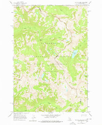 Download a high-resolution, GPS-compatible USGS topo map for Tin Cup Lake, MT (1978 edition)