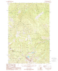 Download a high-resolution, GPS-compatible USGS topo map for Torino Peak, MT (1988 edition)