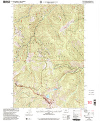 Download a high-resolution, GPS-compatible USGS topo map for Torino Peak, MT (2003 edition)