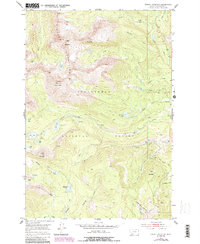 Download a high-resolution, GPS-compatible USGS topo map for Torrey Mountain, MT (1989 edition)