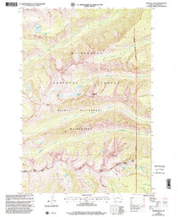 Download a high-resolution, GPS-compatible USGS topo map for Trapper Peak, MT (2000 edition)