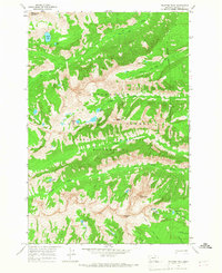 Download a high-resolution, GPS-compatible USGS topo map for Trapper Peak, MT (1968 edition)