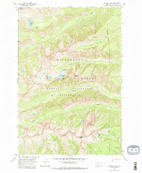 Download a high-resolution, GPS-compatible USGS topo map for Trapper Peak, MT (1979 edition)
