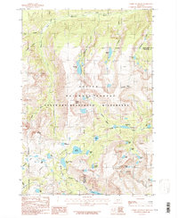 Download a high-resolution, GPS-compatible USGS topo map for Tumble Mountain, MT (1986 edition)