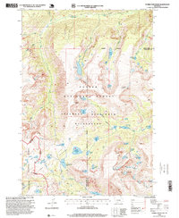 Download a high-resolution, GPS-compatible USGS topo map for Tumble Mountain, MT (1999 edition)
