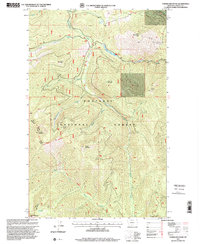 Download a high-resolution, GPS-compatible USGS topo map for Turner Mountain, MT (2000 edition)