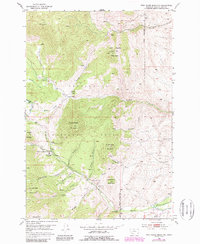 Download a high-resolution, GPS-compatible USGS topo map for Twin Adams Mountain, MT (1989 edition)