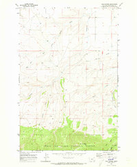 Download a high-resolution, GPS-compatible USGS topo map for Twin Sisters, MT (1973 edition)