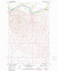 Download a high-resolution, GPS-compatible USGS topo map for Twomile Creek, MT (1989 edition)