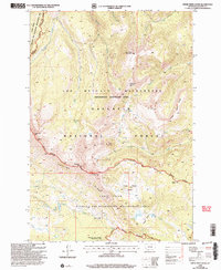 Download a high-resolution, GPS-compatible USGS topo map for Upper Tepee Basin, MT (2005 edition)