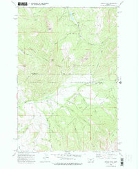 Download a high-resolution, GPS-compatible USGS topo map for Virginia Peak, MT (1975 edition)