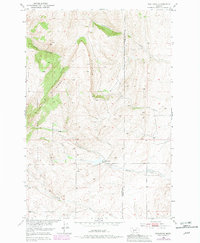 Download a high-resolution, GPS-compatible USGS topo map for Wallrock, MT (1981 edition)