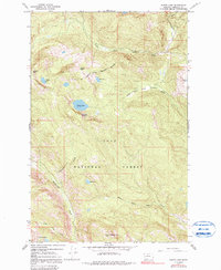 Download a high-resolution, GPS-compatible USGS topo map for Wapiti Lake, MT (1991 edition)