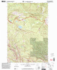 Download a high-resolution, GPS-compatible USGS topo map for Wapiti Lake, MT (2003 edition)