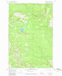Download a high-resolution, GPS-compatible USGS topo map for Wapiti Lake, MT (1982 edition)