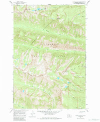 Download a high-resolution, GPS-compatible USGS topo map for Ward Mountain, MT (1984 edition)