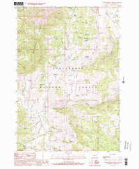 Download a high-resolution, GPS-compatible USGS topo map for Warm Springs Creek, MT (1989 edition)