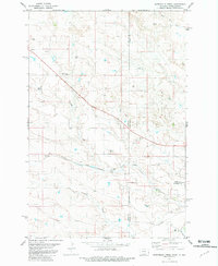 Download a high-resolution, GPS-compatible USGS topo map for Waterhole Creek, MT (1981 edition)
