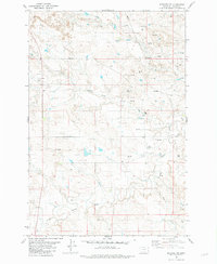 Download a high-resolution, GPS-compatible USGS topo map for Webster NW, MT (1981 edition)