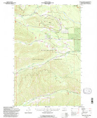Download a high-resolution, GPS-compatible USGS topo map for Whale Buttes, MT (1997 edition)