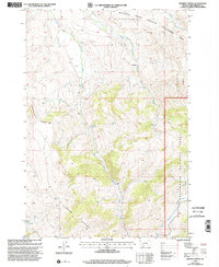 Download a high-resolution, GPS-compatible USGS topo map for Whiskey Spring, MT (2002 edition)