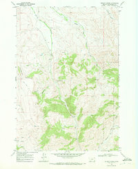 Download a high-resolution, GPS-compatible USGS topo map for Whiskey Spring, MT (1972 edition)