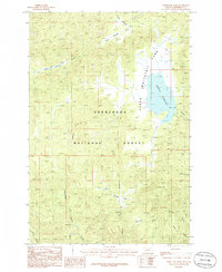 Download a high-resolution, GPS-compatible USGS topo map for Whitetail Peak, MT (1986 edition)