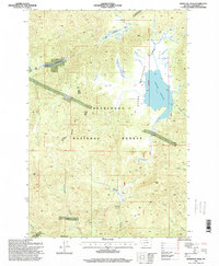 Download a high-resolution, GPS-compatible USGS topo map for Whitetail Peak, MT (1998 edition)