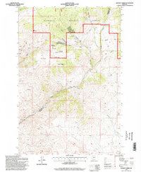 Download a high-resolution, GPS-compatible USGS topo map for Wickiup Creek, MT (1998 edition)
