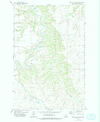 Download a high-resolution, GPS-compatible USGS topo map for Wild Bill Flat East, MT (1979 edition)