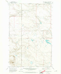 Download a high-resolution, GPS-compatible USGS topo map for Wild Horse Butte, MT (1974 edition)