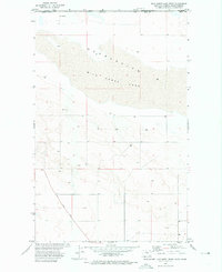 Download a high-resolution, GPS-compatible USGS topo map for Wild Horse Lake West, MT (1975 edition)
