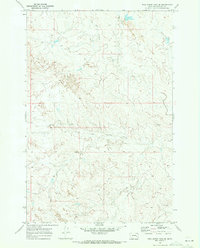 Download a high-resolution, GPS-compatible USGS topo map for Wild Horse Pass SE, MT (1973 edition)