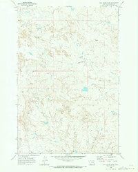 Download a high-resolution, GPS-compatible USGS topo map for Wild Horse Pass, MT (1973 edition)