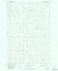 Download a high-resolution, GPS-compatible USGS topo map for Willard SE, MT (1981 edition)