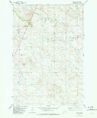 Download a high-resolution, GPS-compatible USGS topo map for Willard, MT (1981 edition)