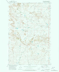 Download a high-resolution, GPS-compatible USGS topo map for Willis Buttes, MT (1977 edition)
