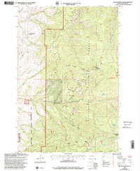 Download a high-resolution, GPS-compatible USGS topo map for Willow Mountain, MT (2002 edition)